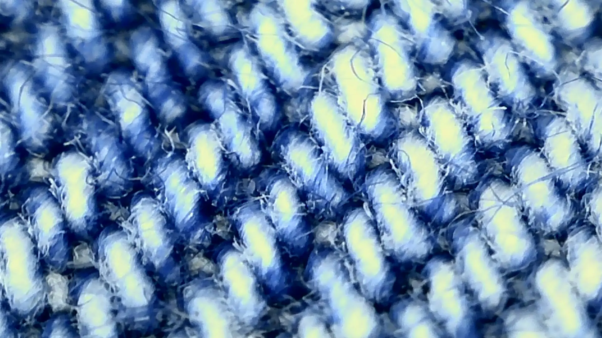 Magnified capture from the WonderQuest microscope showing woven textile fibres