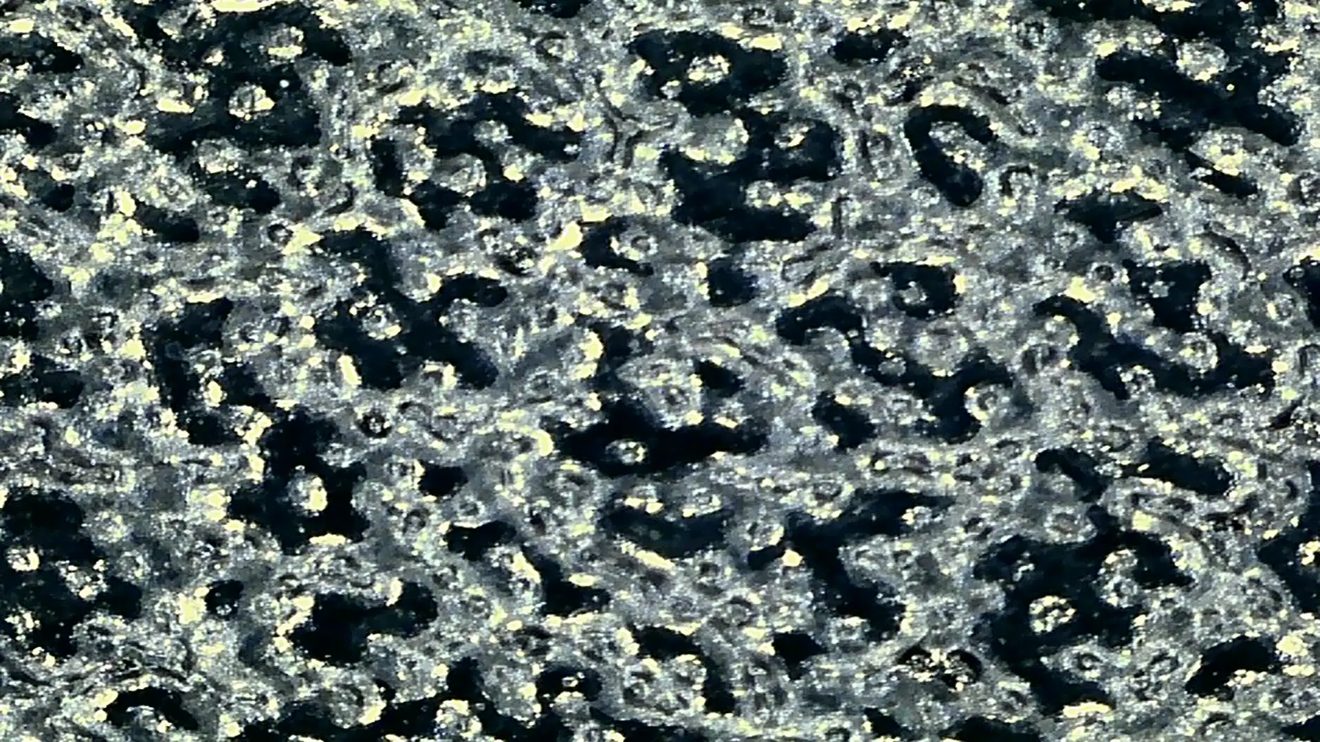 Magnified capture from the WonderQuest microscope showing surface detail on a household object